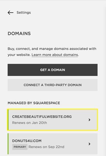 Squarespace.Put Out the Lock for Your Domain